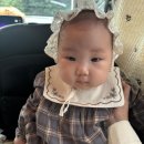 차다목장 네이버블로그