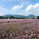 가조온천 이미지