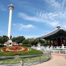 용두산공원 Daum카페