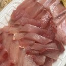 홈즈 동물병원 | 2025년 12월 기록