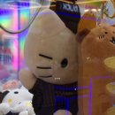 캐칭덕 | 건대 인형뽑기 캐칭덕 손흥민 LAFC 키티 롱다리키티