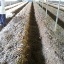 조아농장 이미지