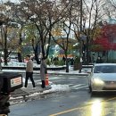 F45 정자 이미지