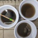 듀오카워시 이미지