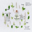루디아패션공방 | [전주플리마켓] 전주 스몰마켓 셀러 참가 예고