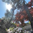 보문사 - 1701 | 보문사