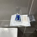 대한삼겹송탄점 | [경기 가평] 보니하니애견펜션 4호실 2박 후기🐶