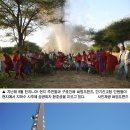 선교로 이미지