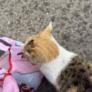 시흥대로20길 이미지