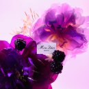 나르(N.A.R) 이미지