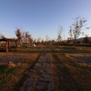 삼락오토캠핑장 이미지