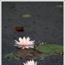 비오는날의추억 이미지