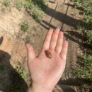 씨유 창원동전산단점 | 24.9-10 한달같은 두달