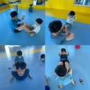 만성 유도관 네이버블로그