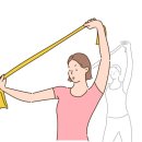 전신 근육 밴드 운동 이미지