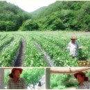 찬숙이네