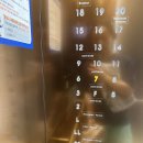 동탄킥복싱룸칼리점 | [동탄 호텔] 스타즈호텔 프리미어 주차 헬스장 내돈내산 2박 솔직후기