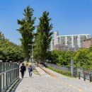 경춘선솔밭길 이미지