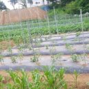 풍경을 요리하는 농부 이미지