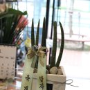 더조은메디컬 이미지