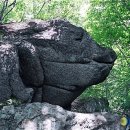 소백산 국망봉 돼지바위 Daum카페