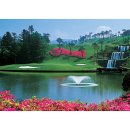 크리스탈밸리C.C 이미지