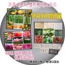 델리케이트 이미지