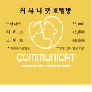 커뮤니캣 고양이 호텔&미용실 | 커뮤니캣 고양이 호텔&amp;미용실