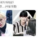 진짜루 이미지
