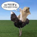 삼성역 코엑스 낮술 2차 가기 좋은 데블스도어 내돈내산 후기