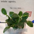 송내남부역공인중개사사무소 이미지