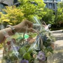 금빛플라워 | 환갑꽃다발 추천 내돈내산 구매후기 (성남 금빛플라워 추천) (귀여운 아기사진도 첨부)