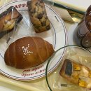 신당 좋아요 동물병원 이미지