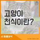 사바나동물병원 이미지