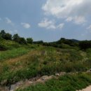 상곡초교 이미지