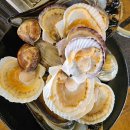 대형51세차장 이미지