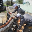 창녕조씨 삼강정려 이미지