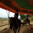 삼육지역아동센터 이미지