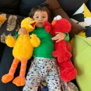 모아내가 이미지