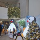 휘닉스중앙평창 오렌지동 | 휘닉스 평창 오렌지동 스카이 30평 숙박 리얼 후기