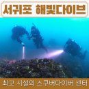 해빛다이브 | 제주 스쿠버다이빙 '해빛다이브' 서귀포 문섬 보트 펀다이빙 후기