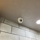 골든볼당구장 이미지