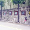 월영동100 이미지