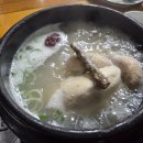 성지원 Daum카페