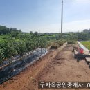 호젓하고 프라이빗한 양도면 체류형쉼터 150평,1억4000만원,강화도토지 이미지
