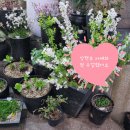 매쓰플랜수학상현학원