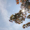 하늘메디칼 이미지