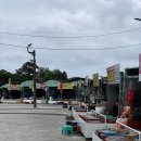 세븐일레븐 부산기장에이스점 | 부산 해운대 현지인 맛집 추천 연화리 기장해녀촌 해물모듬이 단돈 3만원