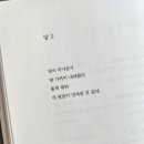 달시