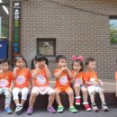 초안산숲속작은도서관 이미지